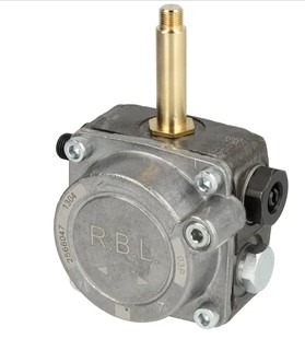 [112115115] POMPE RIELLO 3007771